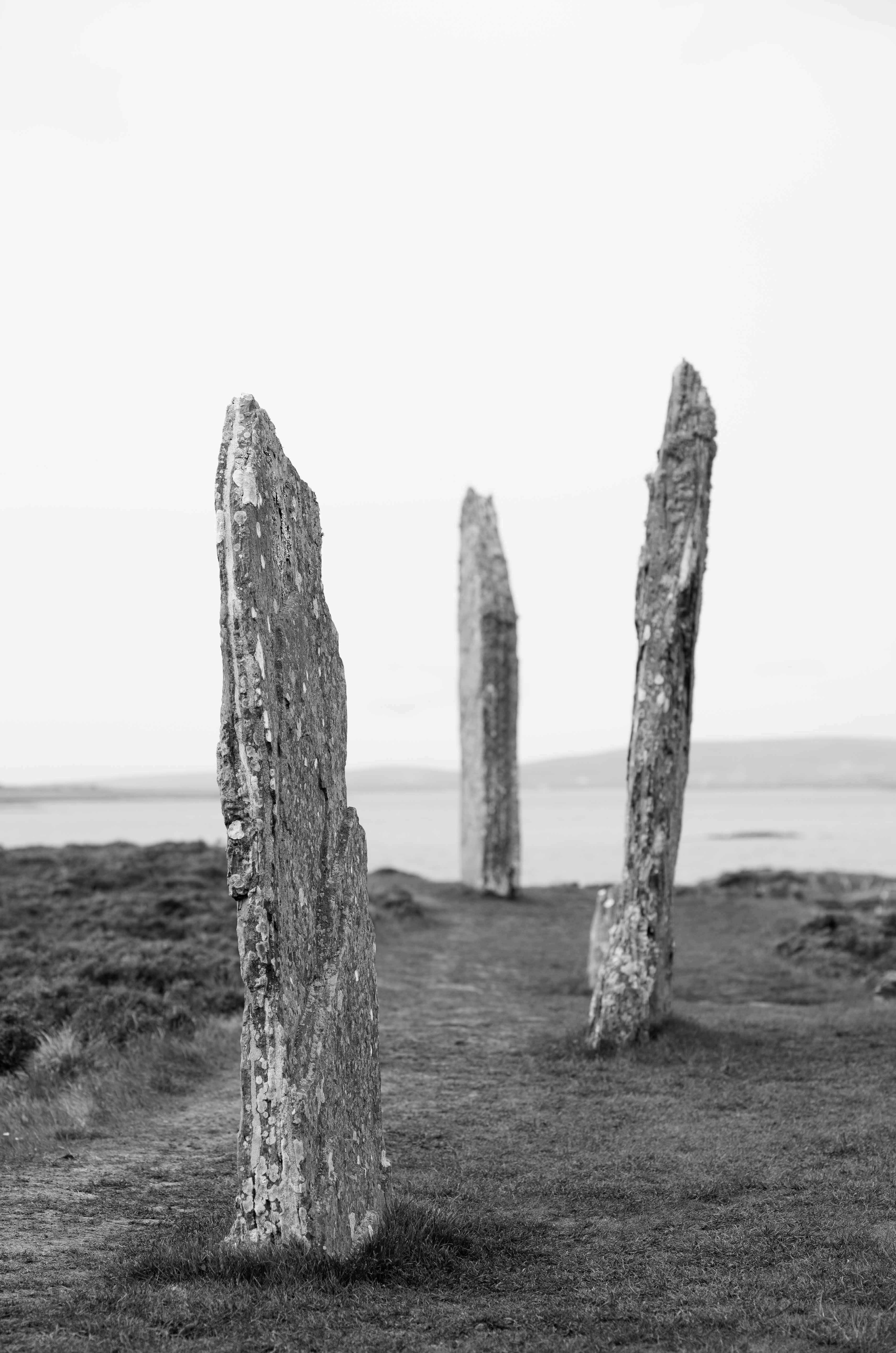 Brodgar 1